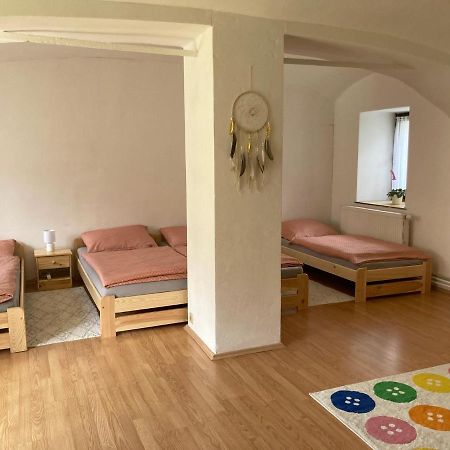 Prijemny Apartman Se Zahradou Ostresany Exterior photo